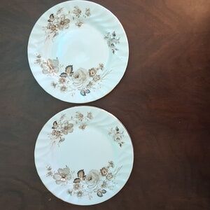 2 Queen Anne Floral Bread/Butter Plates  'Terra Nova'